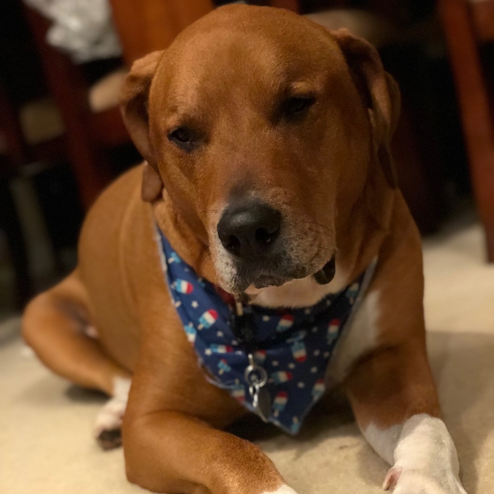 Meet your Posher, Kryssa